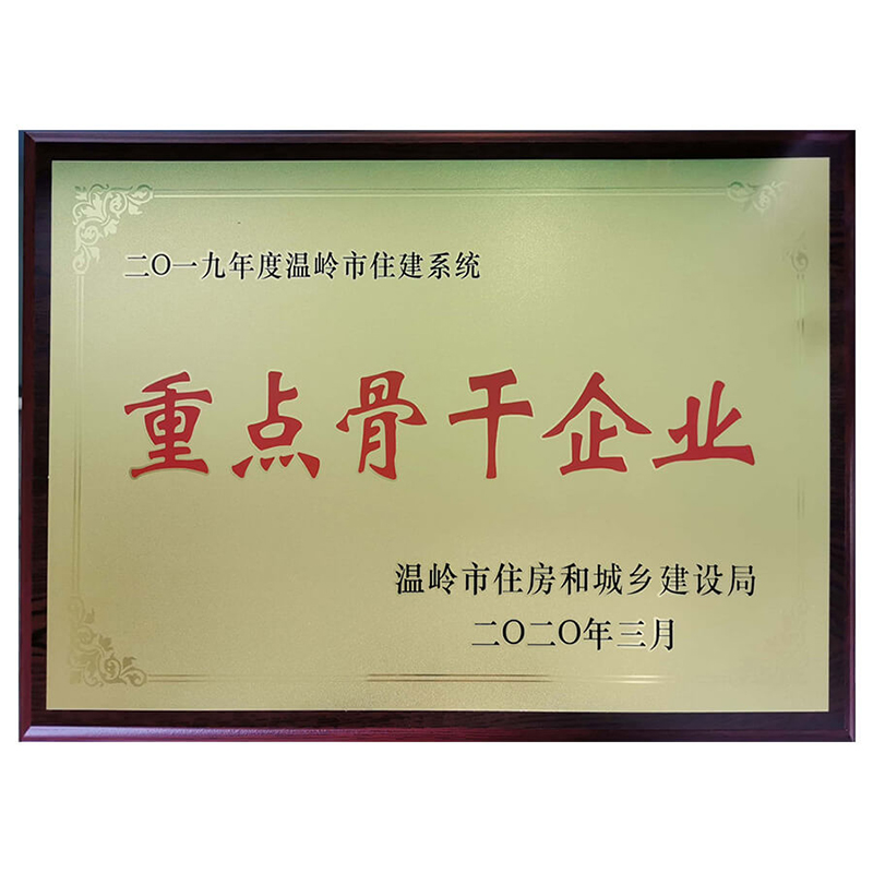 重點(diǎn)骨干企業(yè)